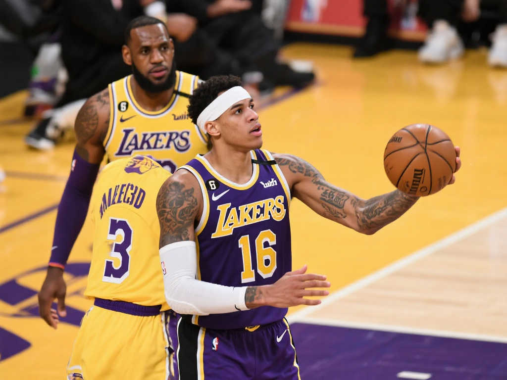 设施和组织 设施和组织